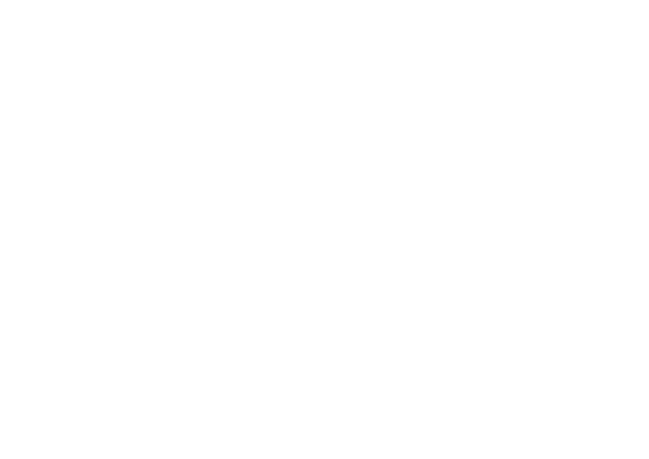 Crazy in Love